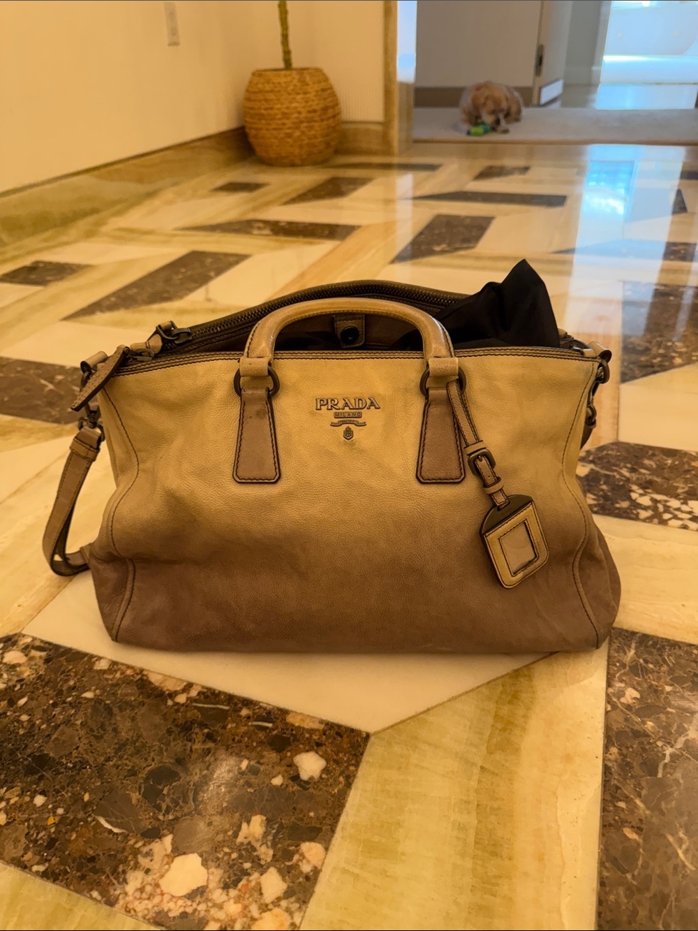 Prada Ombré Taupe Leather Bag